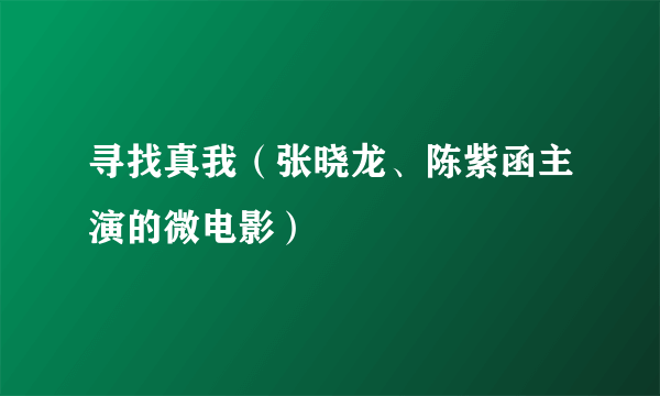 寻找真我（张晓龙、陈紫函主演的微电影）