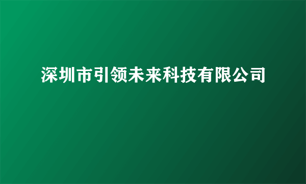 深圳市引领未来科技有限公司