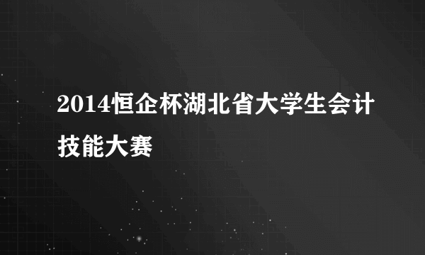 2014恒企杯湖北省大学生会计技能大赛