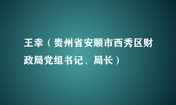 王幸（贵州省安顺市西秀区财政局党组书记、局长）