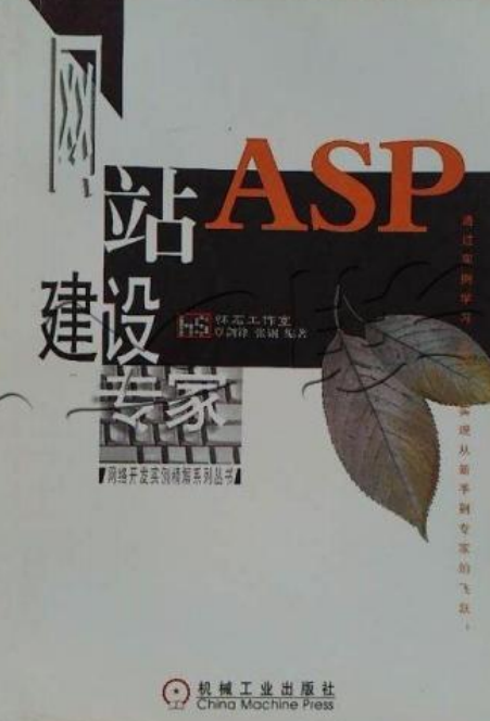 ASP网站建设专家