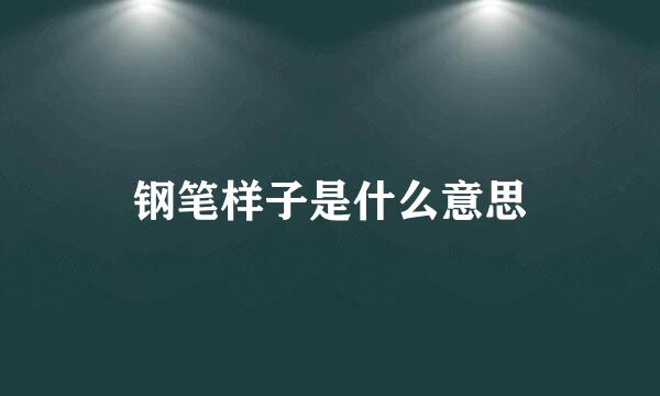 钢笔样子是什么意思