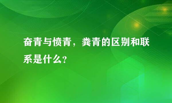 奋青与愤青，粪青的区别和联系是什么？