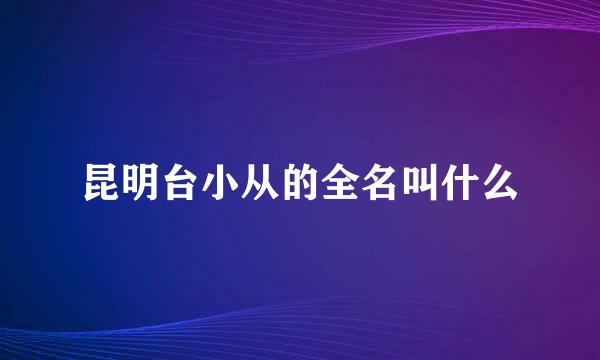 昆明台小从的全名叫什么