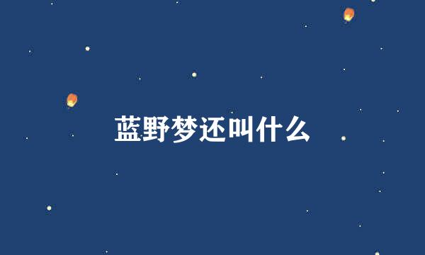 蓝野梦还叫什么