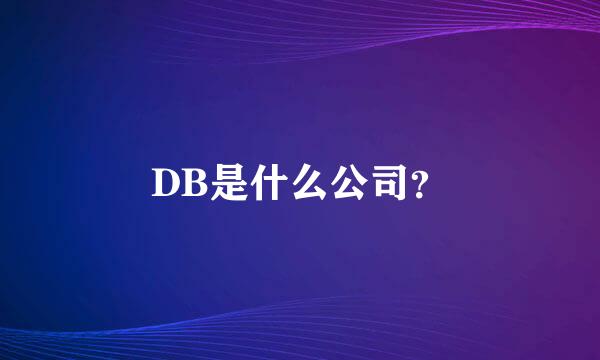 DB是什么公司？