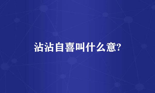 沾沾自喜叫什么意?