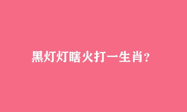 黑灯灯瞎火打一生肖？