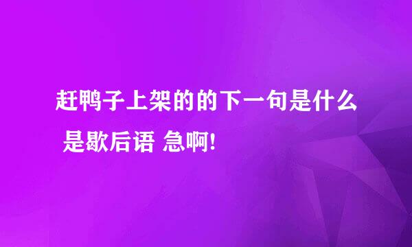 赶鸭子上架的的下一句是什么 是歇后语 急啊!