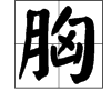 “胸”字的组词有哪些？