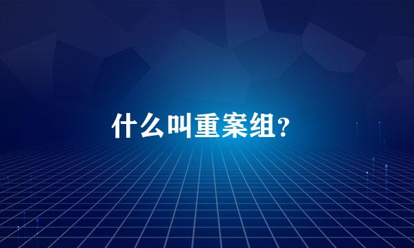 什么叫重案组？