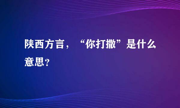 陕西方言，“你打撒”是什么意思？