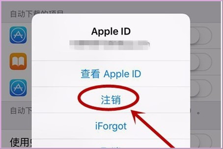 在手机app store上购买软件或更新软件时显示account not in this store