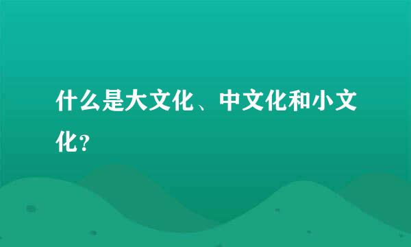 什么是大文化、中文化和小文化？