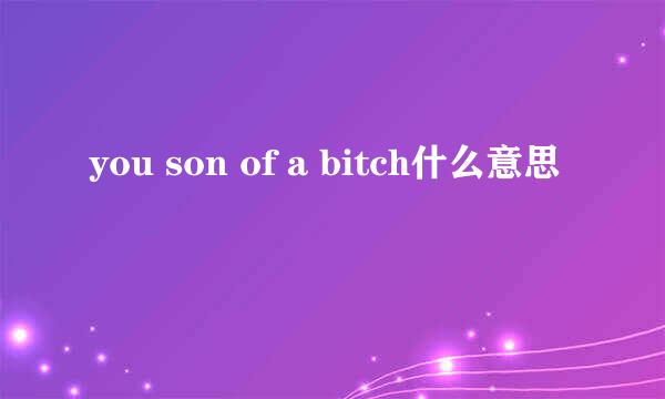 you son of a bitch什么意思