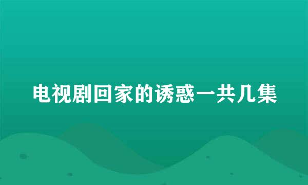 电视剧回家的诱惑一共几集