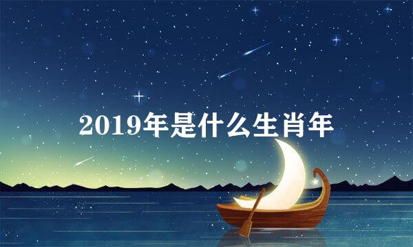 2019年是什么生肖年