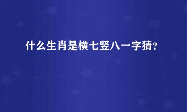 什么生肖是横七竖八一字猜？