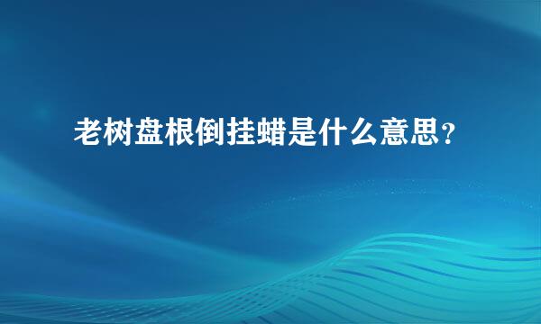 老树盘根倒挂蜡是什么意思？