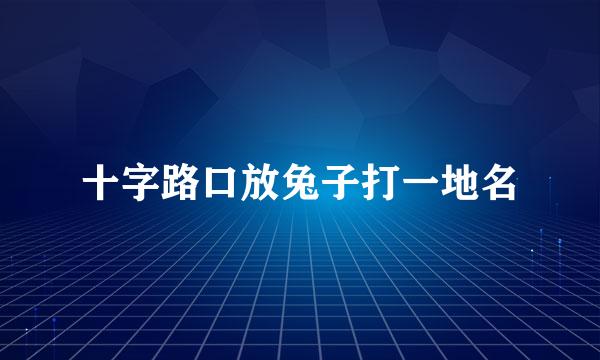 十字路口放兔子打一地名