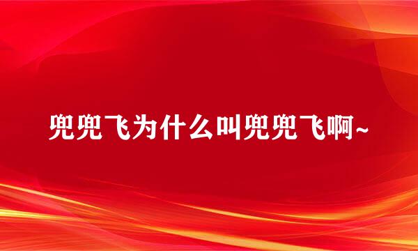 兜兜飞为什么叫兜兜飞啊~