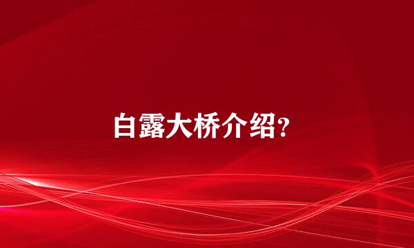 白露大桥介绍？