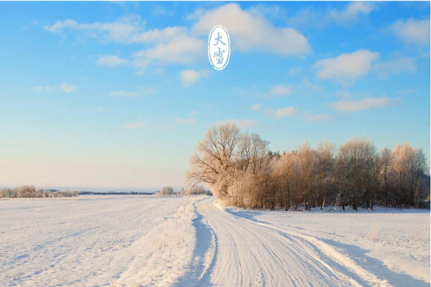 大雪纷飞打一准确生肖