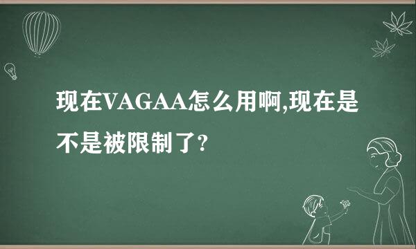 现在VAGAA怎么用啊,现在是不是被限制了?