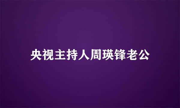 央视主持人周瑛锋老公