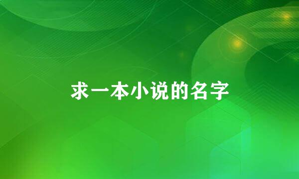 求一本小说的名字