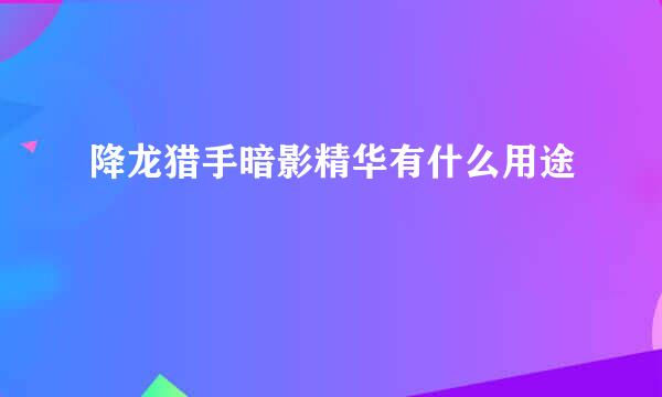 降龙猎手暗影精华有什么用途