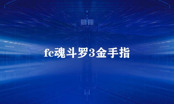 fc魂斗罗3金手指