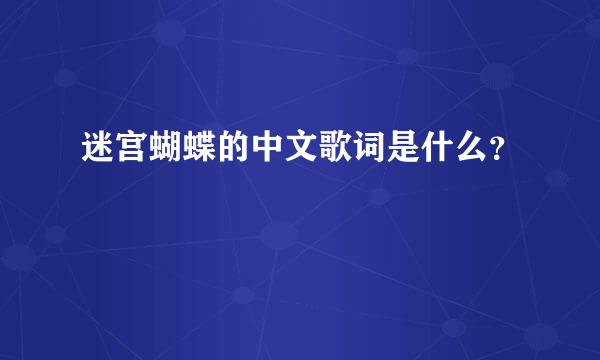 迷宫蝴蝶的中文歌词是什么？