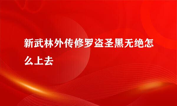 新武林外传修罗盗圣黑无绝怎么上去