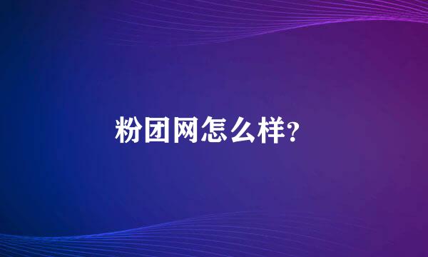 粉团网怎么样？