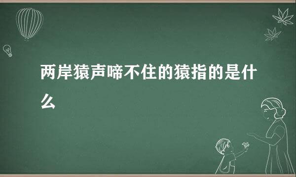 两岸猿声啼不住的猿指的是什么