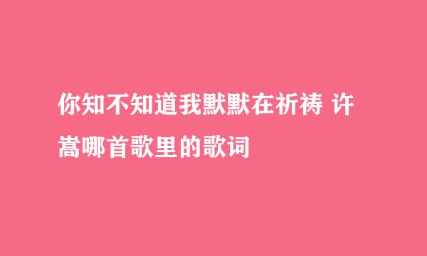 你知不知道我默默在祈祷 许嵩哪首歌里的歌词