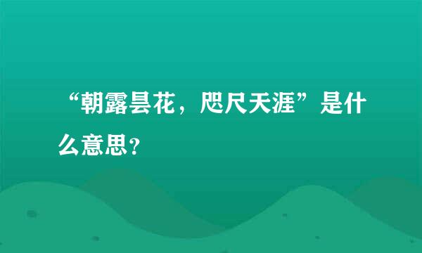 “朝露昙花，咫尺天涯”是什么意思？