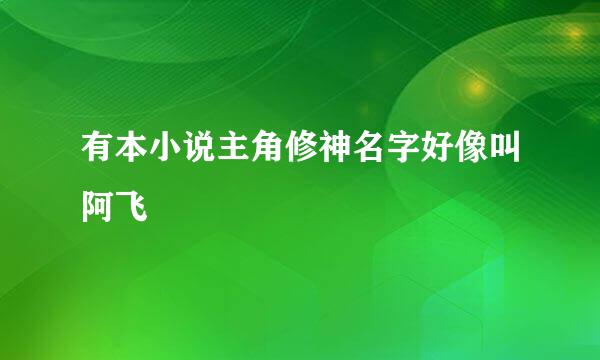 有本小说主角修神名字好像叫阿飞