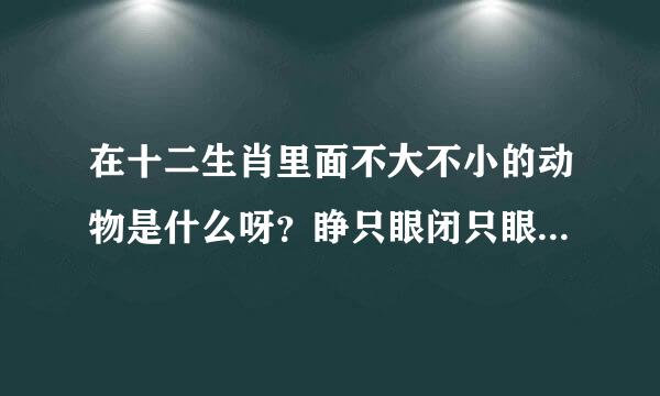 在十二生肖里面不大不小的动物是什么呀？睁只眼闭只眼的生肖是什么急急急