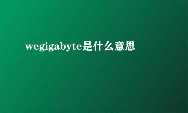 wegigabyte是什么意思