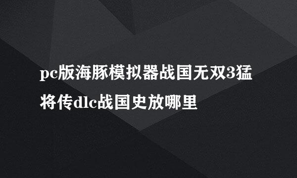 pc版海豚模拟器战国无双3猛将传dlc战国史放哪里