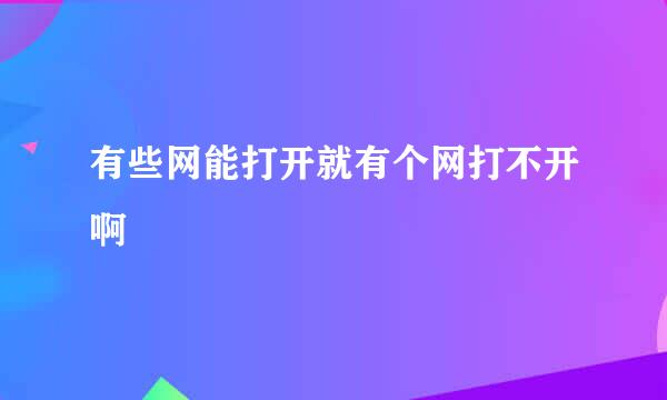 有些网能打开就有个网打不开啊