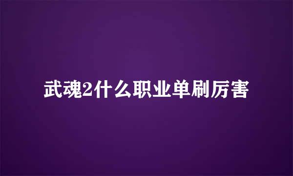 武魂2什么职业单刷厉害