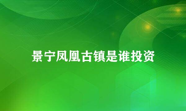 景宁凤凰古镇是谁投资