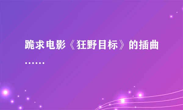 跪求电影《狂野目标》的插曲……