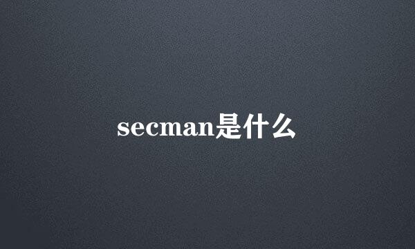 secman是什么