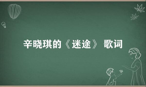 辛晓琪的《迷途》 歌词