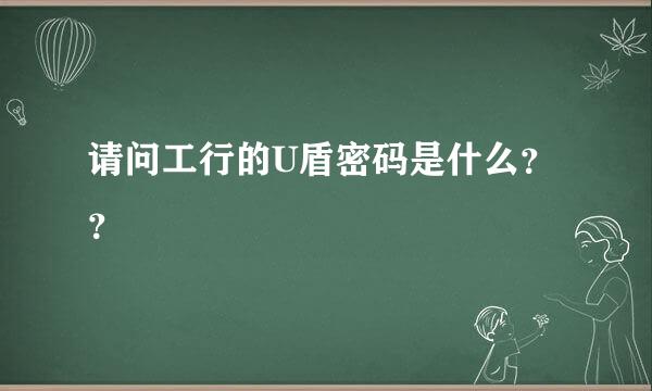 请问工行的U盾密码是什么？？