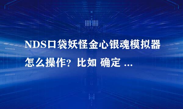 NDS口袋妖怪金心银魂模拟器怎么操作？比如 确定 是哪个按键？